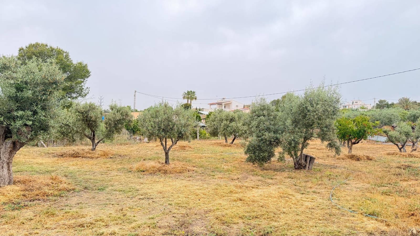2 slaapkamer Villa te koop in Elche / Elx met garage - € 249.000 (Ref: 10181793)