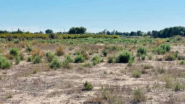 Area Edificabile in vendita in Perleta, Elche / Elx - 119.000 € (Rif: 10181794)