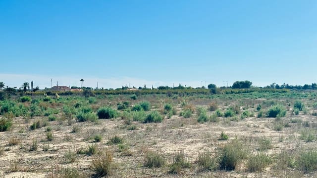 Area Edificabile in vendita in Perleta, Elche / Elx - 119.000 € (Rif: 10181794)