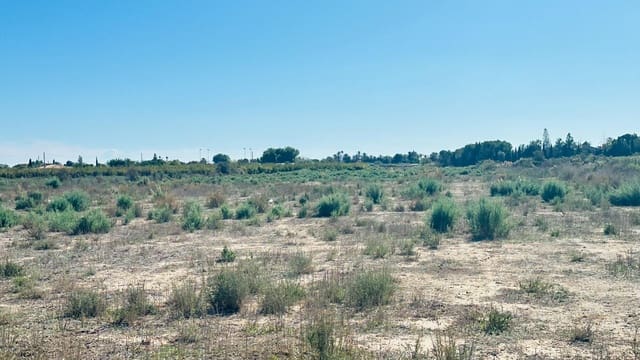 Area Edificabile in vendita in Perleta, Elche / Elx - 119.000 € (Rif: 10181794)