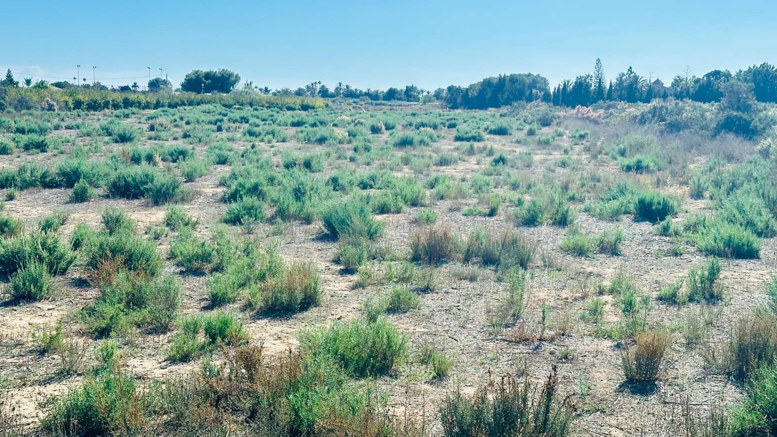 Area Edificabile in vendita in Perleta - 119.000 € (Rif: 10181794)