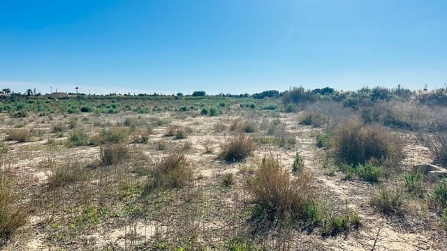 Area Edificabile in vendita in Perleta, Elche / Elx - 119.000 € (Rif: 10181794)