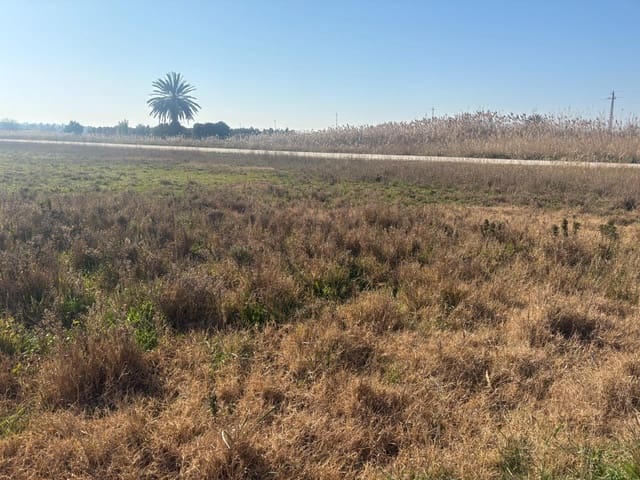 Landgrundstück zu verkaufen in La Hoya, Elche / Elx - 35.000 € (Ref: 10181798)