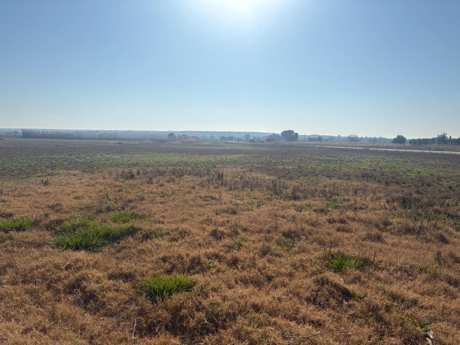 Landgrundstück zu verkaufen in La Hoya - 35.000 € (Ref: 10181798)