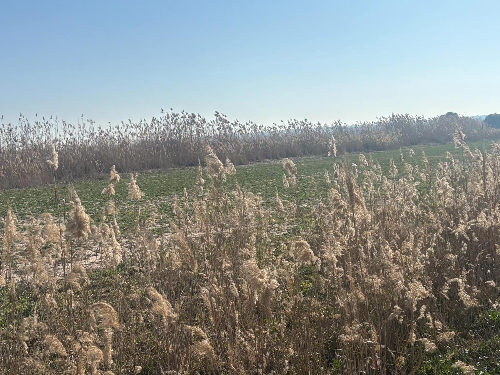 Landgrundstück zu verkaufen in La Hoya - 35.000 € (Ref: 10181798)