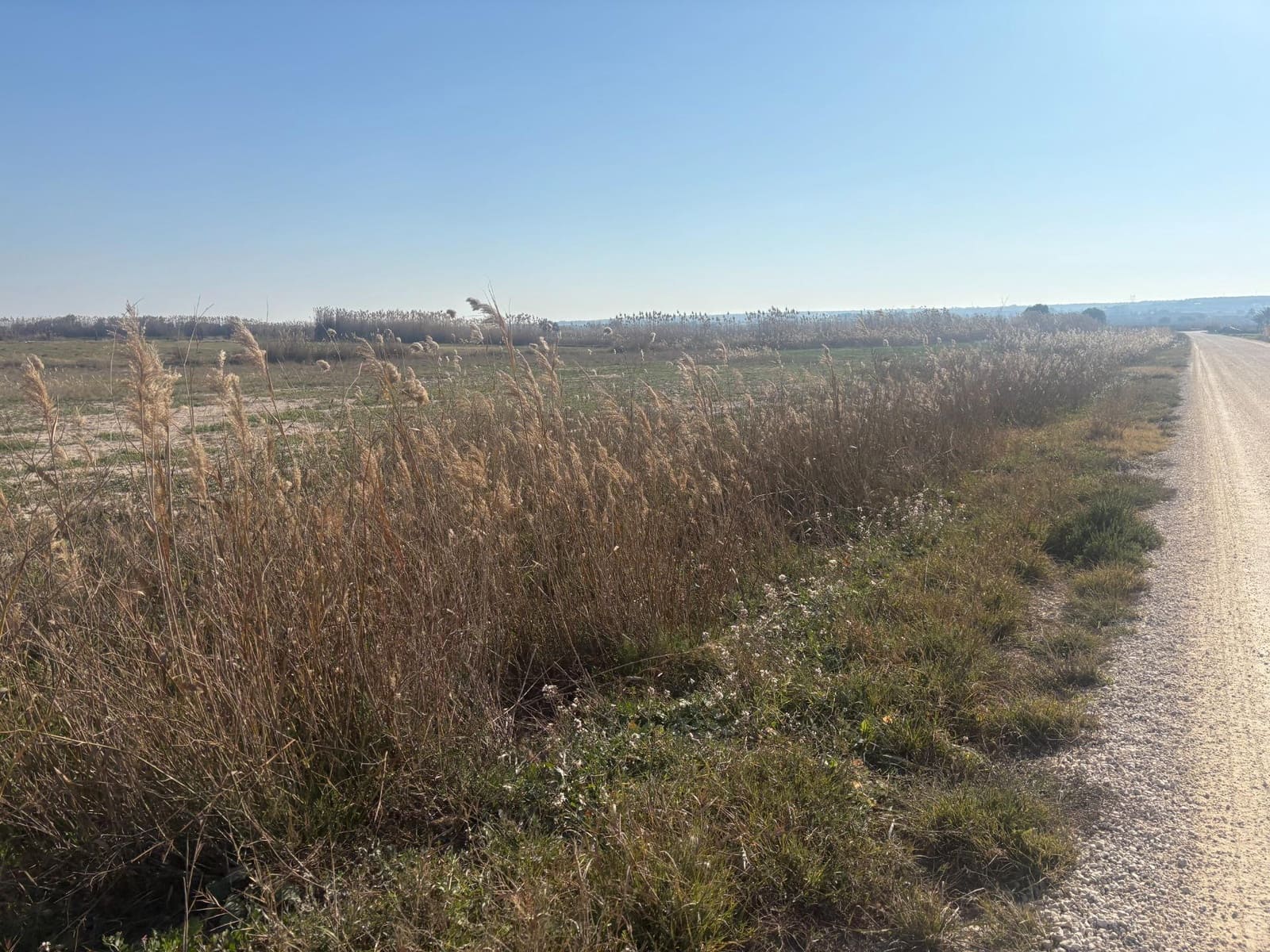Landgrundstück zu verkaufen in La Hoya - 35.000 € (Ref: 10181798)