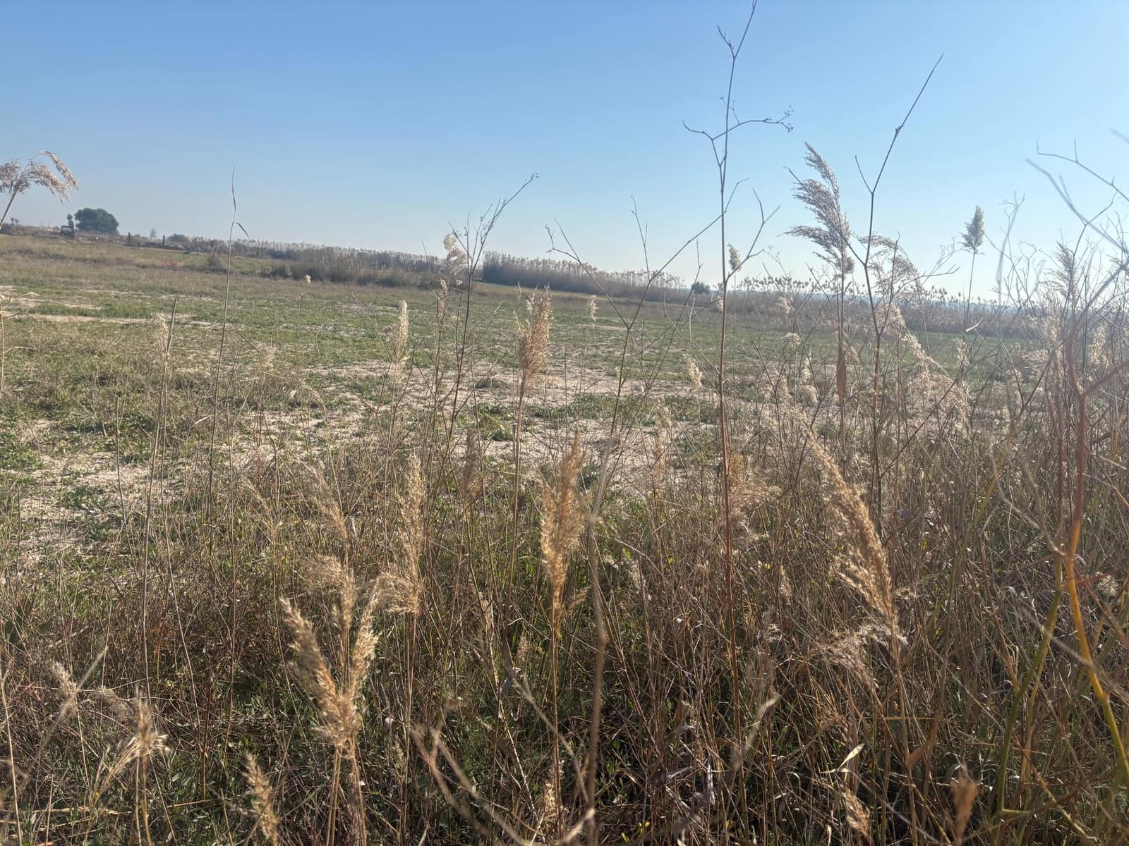 Landgrundstück zu verkaufen in La Hoya - 35.000 € (Ref: 10181798)