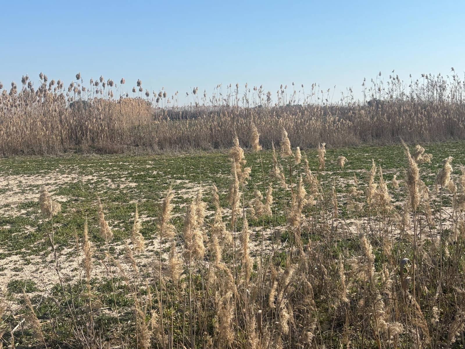 Landgrundstück zu verkaufen in La Hoya - 35.000 € (Ref: 10181798)