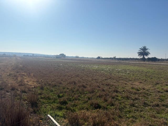 Landgrundstück zu verkaufen in La Hoya, Elche / Elx - 35.000 € (Ref: 10181798)
