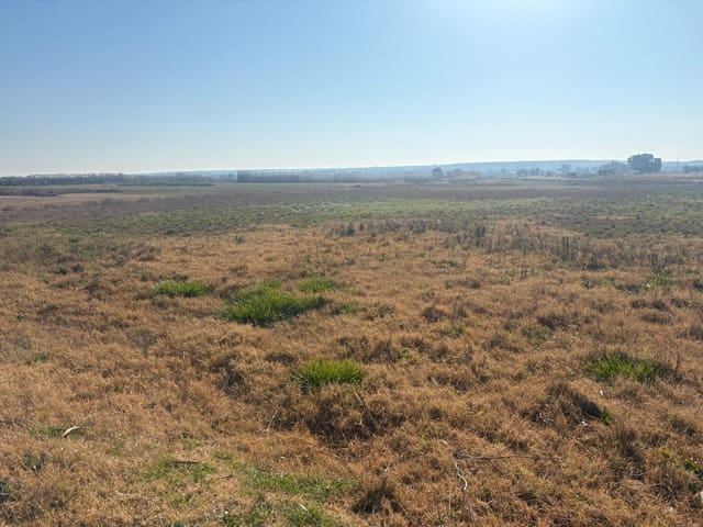 Landgrundstück zu verkaufen in La Hoya, Elche / Elx - 35.000 € (Ref: 10181798)