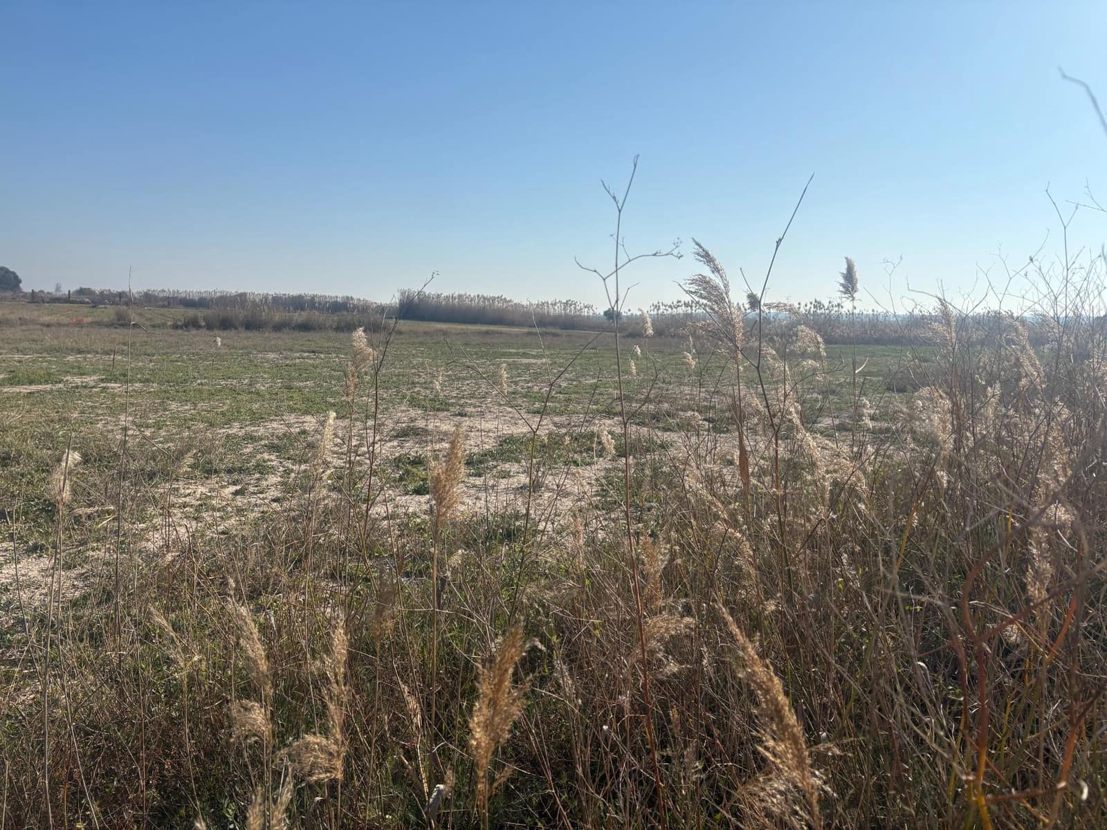 Landgrundstück zu verkaufen in La Hoya - 35.000 € (Ref: 10181798)
