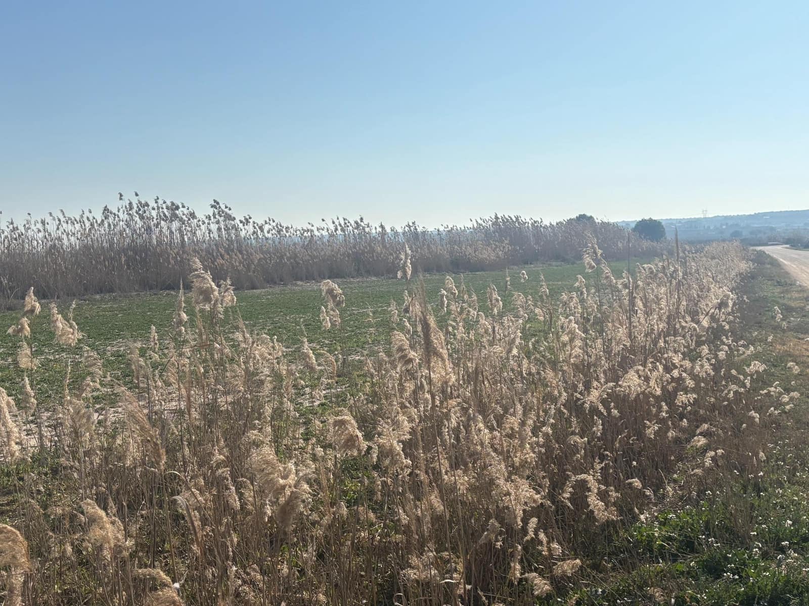 Landgrundstück zu verkaufen in La Hoya - 35.000 € (Ref: 10181798)