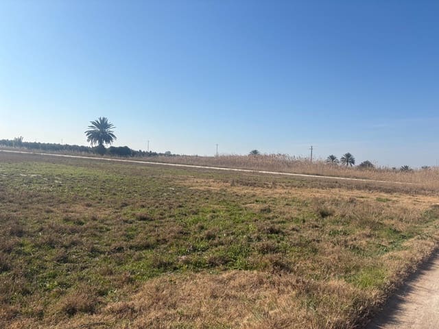Landgrundstück zu verkaufen in La Hoya, Elche / Elx - 35.000 € (Ref: 10181798)
