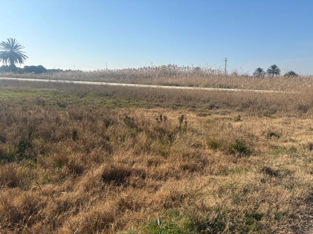 Landgrundstück zu verkaufen in La Hoya, Elche / Elx - 35.000 € (Ref: 10181798)