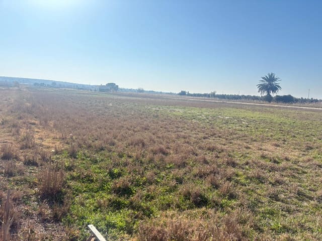 Landgrundstück zu verkaufen in La Hoya, Elche / Elx - 35.000 € (Ref: 10181798)