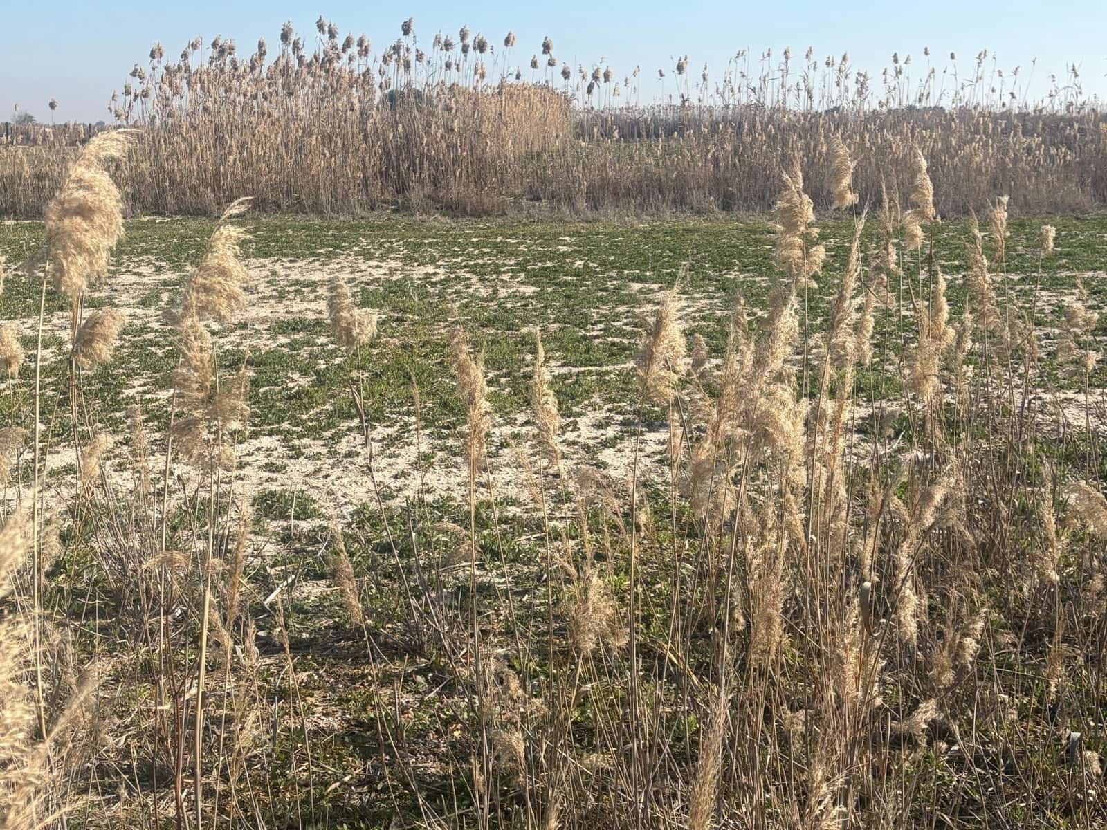 Landgrundstück zu verkaufen in La Hoya - 35.000 € (Ref: 10181798)