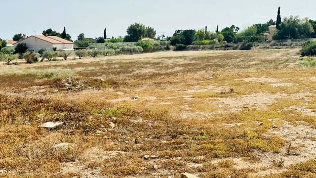 Terreno Non Edificato in vendita in Perleta, Elche / Elx - 54.000 € (Rif: 10181800)