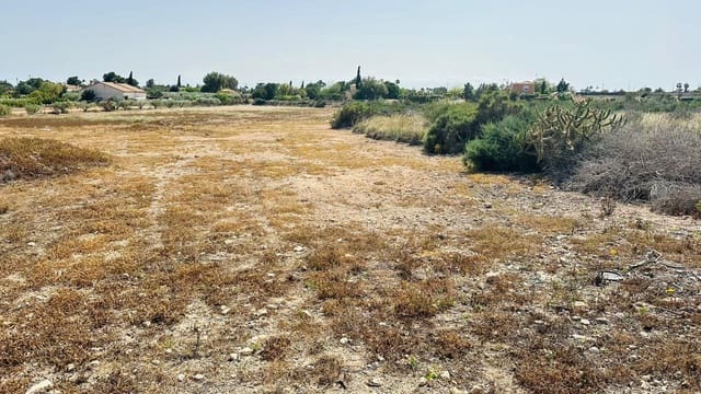 Terreno Non Edificato in vendita in Perleta, Elche / Elx - 54.000 € (Rif: 10181800)