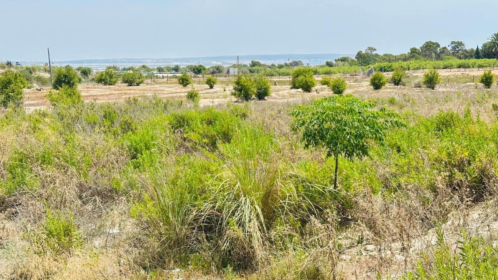Ubebygd land til salgs i La Marina - € 26 000 (Ref: 10181801)