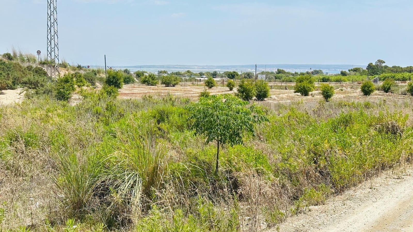 Ubebygd land til salgs i La Marina - € 26 000 (Ref: 10181801)