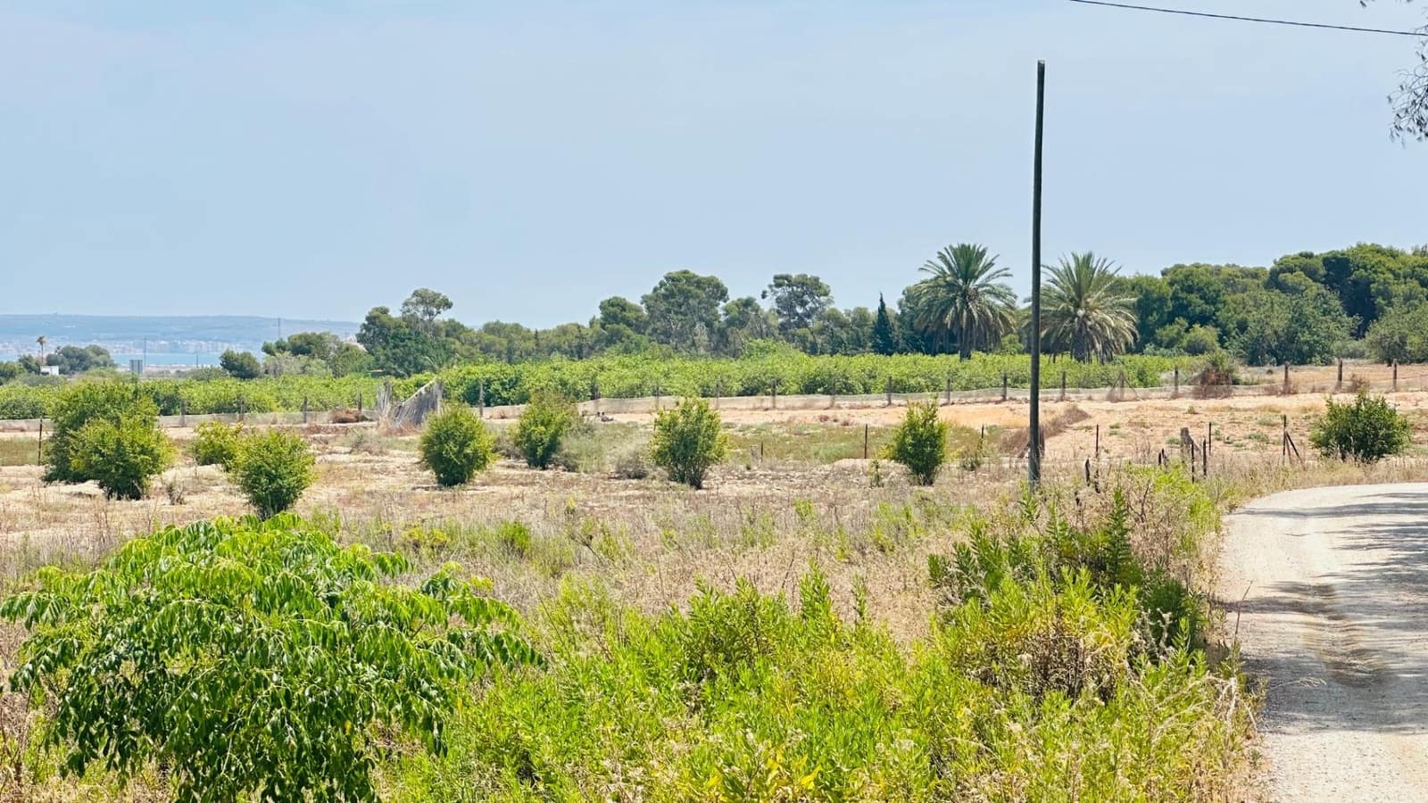 Ubebygd land til salgs i La Marina - € 26 000 (Ref: 10181801)