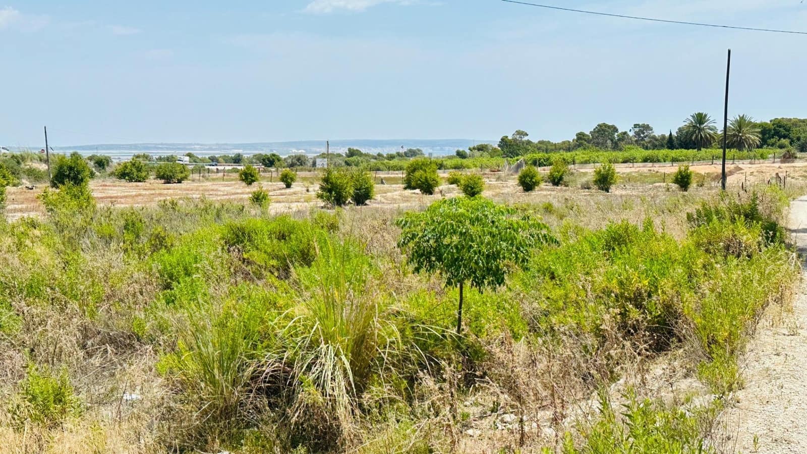 Ubebygd land til salgs i La Marina - € 26 000 (Ref: 10181801)