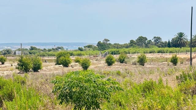 Ubebygd land til salgs i La Marina, Elche / Elx - € 26 000 (Ref: 10181801)