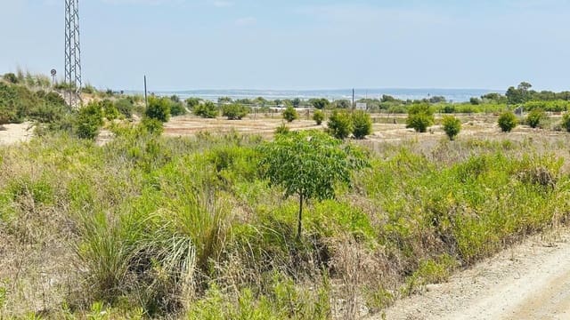 Ubebygd land til salgs i La Marina, Elche / Elx - € 26 000 (Ref: 10181801)