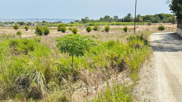 Ubebygd land til salgs i La Marina, Elche / Elx - € 26 000 (Ref: 10181801)