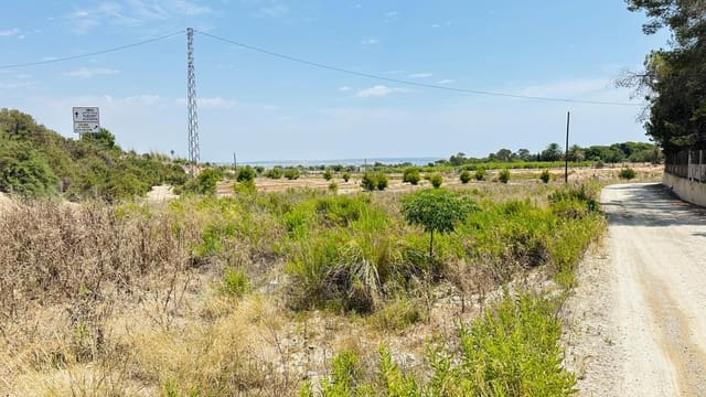 Ubebygd land til salgs i La Marina, Elche / Elx - € 26 000 (Ref: 10181801)