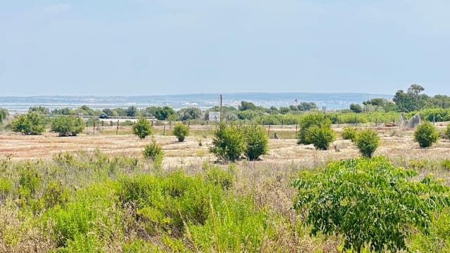 Ubebygd land til salgs i La Marina, Elche / Elx - € 26 000 (Ref: 10181801)