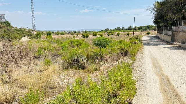 Ubebygd land til salgs i La Marina, Elche / Elx - € 26 000 (Ref: 10181801)