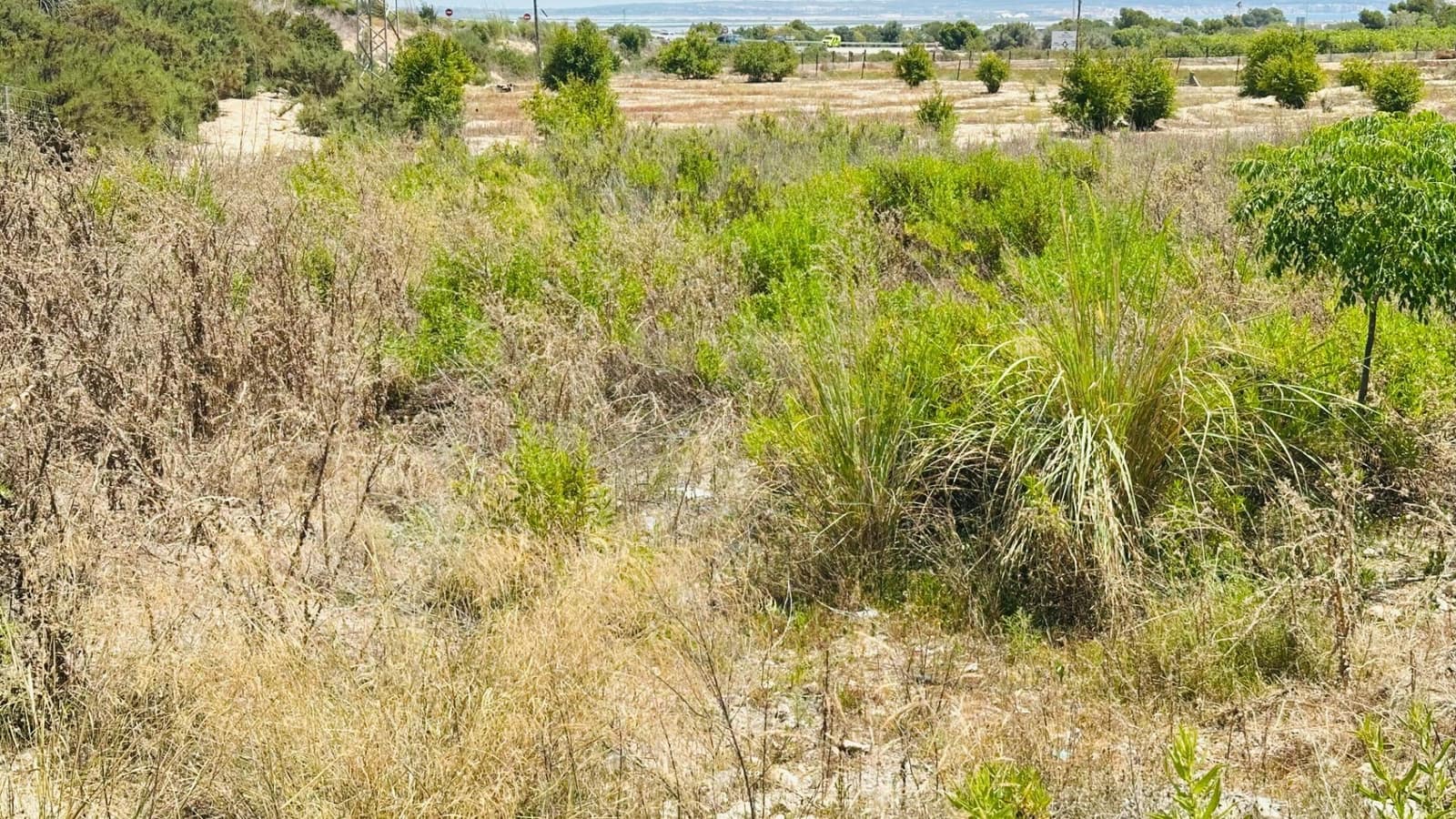 Ubebygd land til salgs i La Marina - € 26 000 (Ref: 10181801)