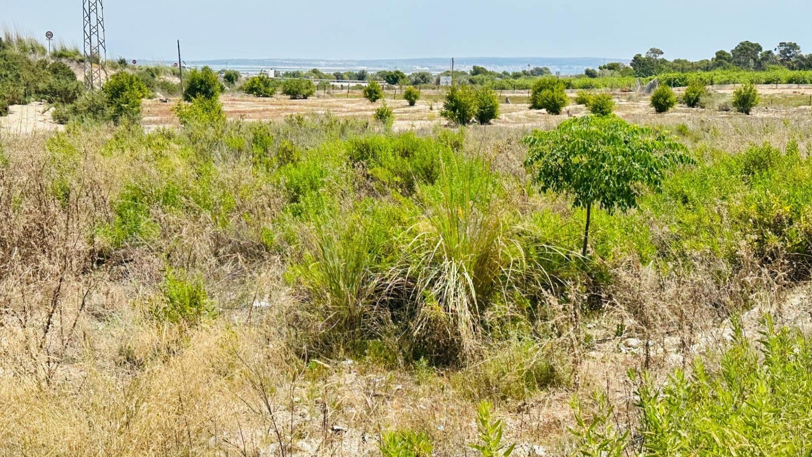 Ubebygd land til salgs i La Marina - € 26 000 (Ref: 10181801)