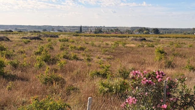Area Edificabile in vendita in Valverde, Elche / Elx - 480.000 € (Rif: 10181804)