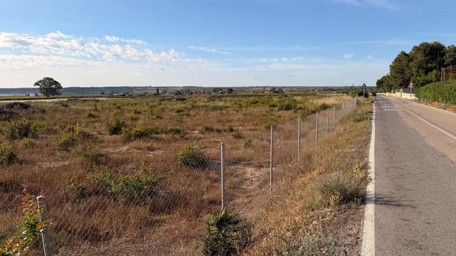 Area Edificabile in vendita in Valverde, Elche / Elx - 480.000 € (Rif: 10181804)