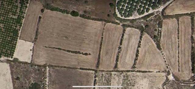 Area Edificabile in vendita in Valverde, Elche / Elx - 220.000 € (Rif: 10181805)
