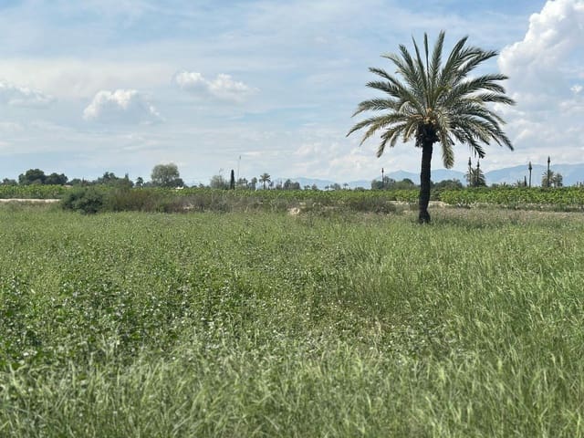 Terreno/Finca Rústica en Elche / Elx en venta - 64.000 € (Ref: 10181820)