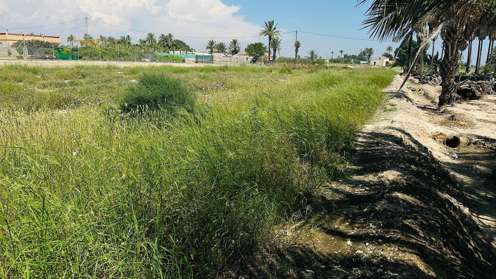 Terreno/Finca Rústica en Elche / Elx en venta - 64.000 € (Ref: 10181820)