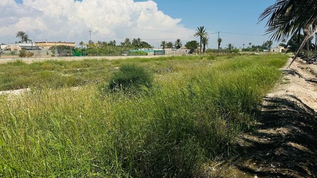 Terreno/Finca Rústica en Elche / Elx en venta - 64.000 € (Ref: 10181820)