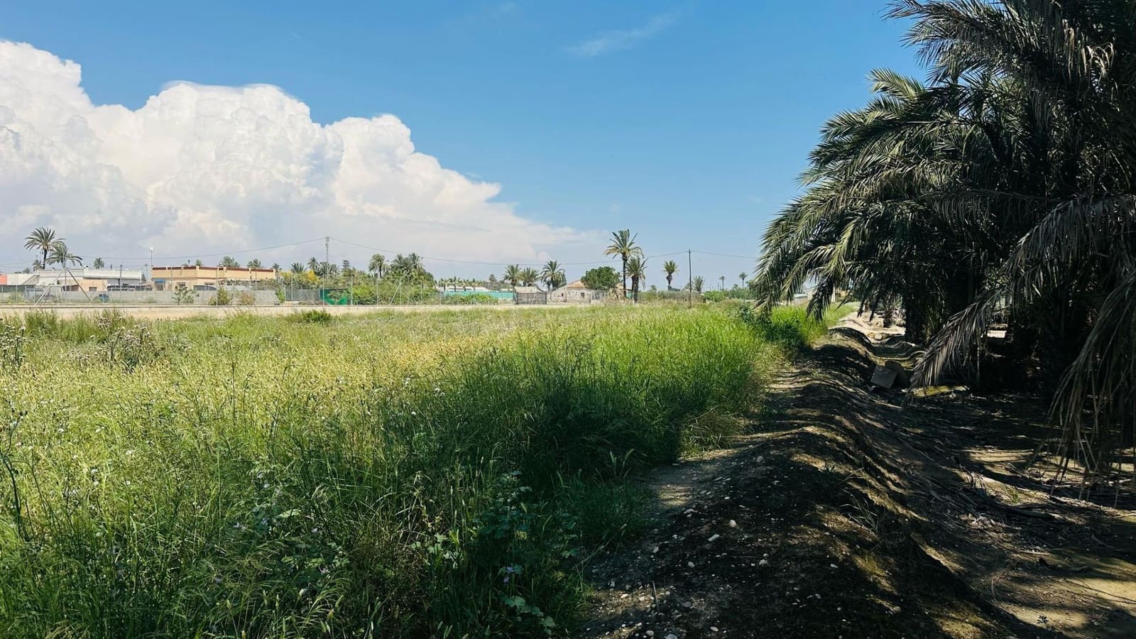 Terreno/Finca Rústica en Elche / Elx en venta - 64.000 € (Ref: 10181820)