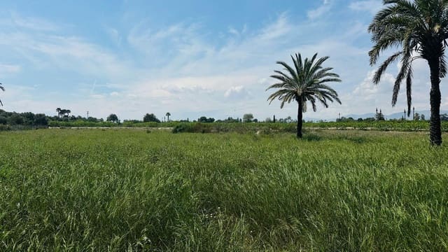 Terreno/Finca Rústica en Elche / Elx en venta - 64.000 € (Ref: 10181820)