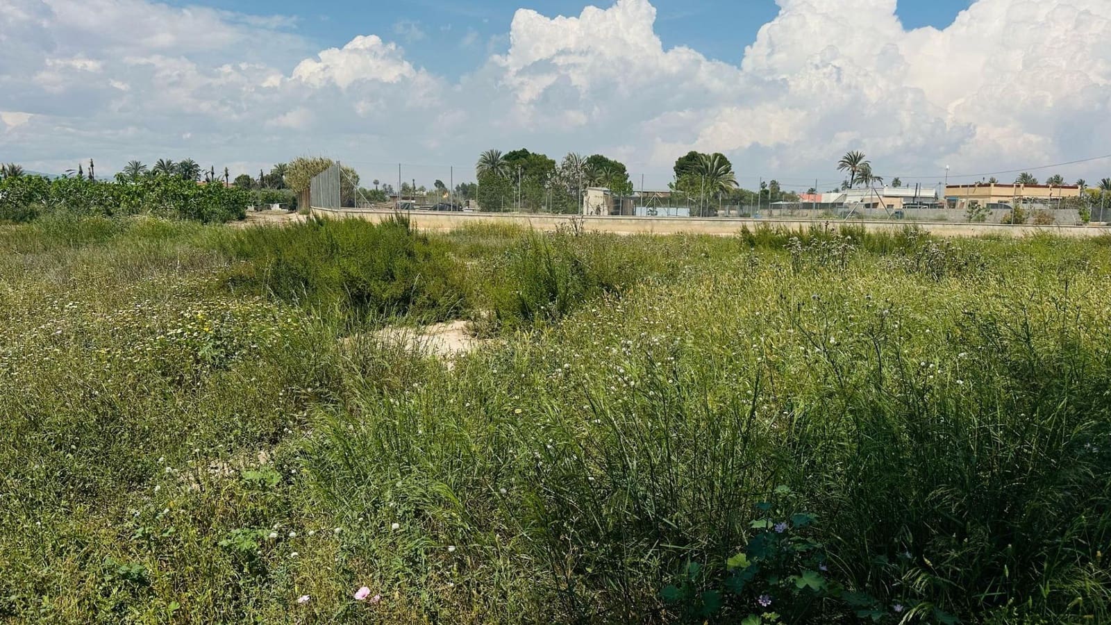 Terreno/Finca Rústica en Elche / Elx en venta - 64.000 € (Ref: 10181820)
