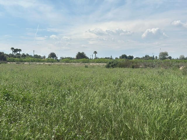 Terreno/Finca Rústica en Elche / Elx en venta - 64.000 € (Ref: 10181820)