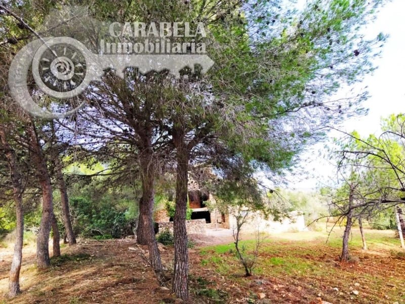 4 soveværelse Finca/Landehus til salg i Peniscola med garage - € 279.000 (Ref: 9021335)