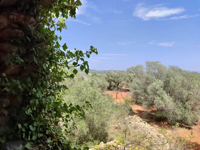 4 soveværelse Finca/Landehus til salg i Peniscola med garage - € 279.000 (Ref: 9021335)