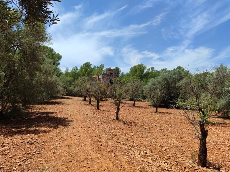 4 soveværelse Finca/Landehus til salg i Peniscola med garage - € 279.000 (Ref: 9021335)