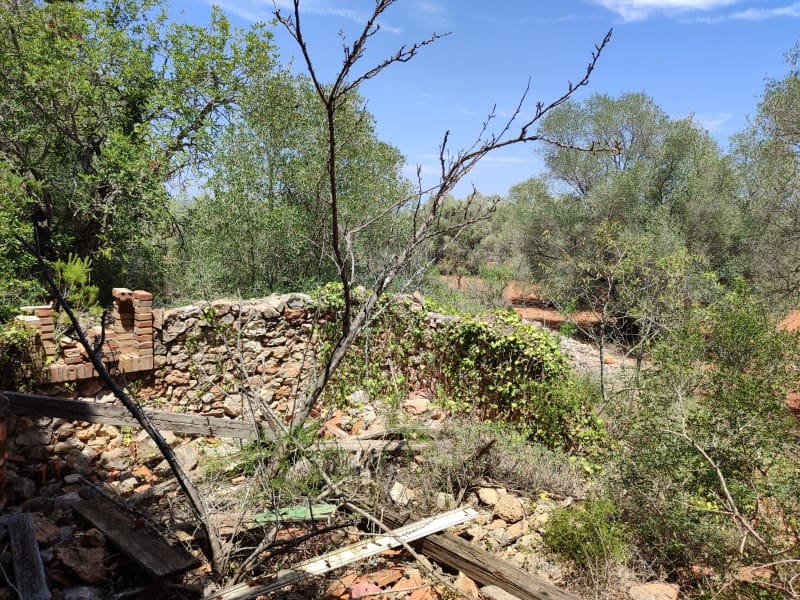 4 soveværelse Finca/Landehus til salg i Peniscola med garage - € 279.000 (Ref: 9021335)