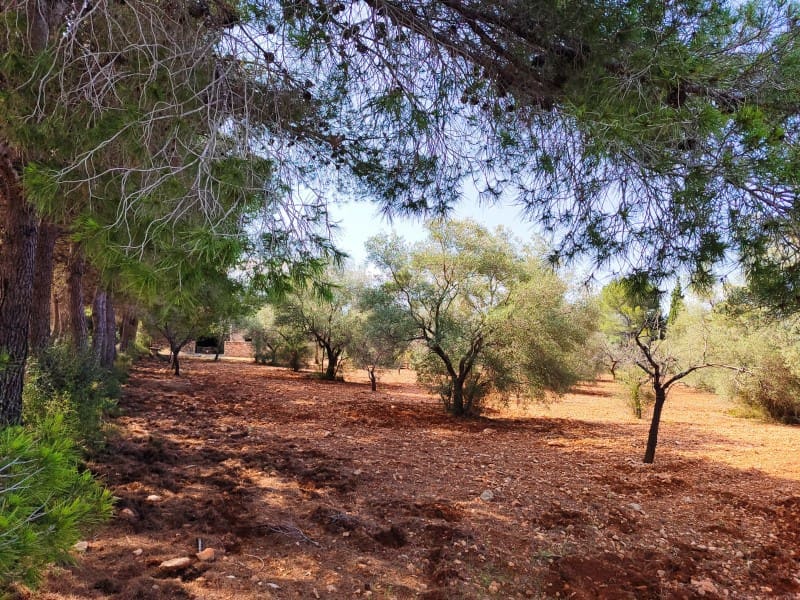 4 soveværelse Finca/Landehus til salg i Peniscola med garage - € 279.000 (Ref: 9021335)