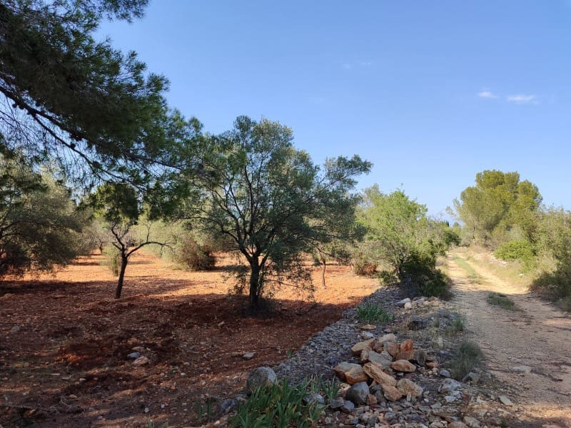 4 soveværelse Finca/Landehus til salg i Peniscola med garage - € 279.000 (Ref: 9021335)